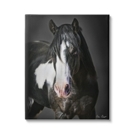 Stupell Industries Black & White Horse Animals & Insects Photography Gallery Wrapped Canvas Art Print Wall Art, 24 x 30