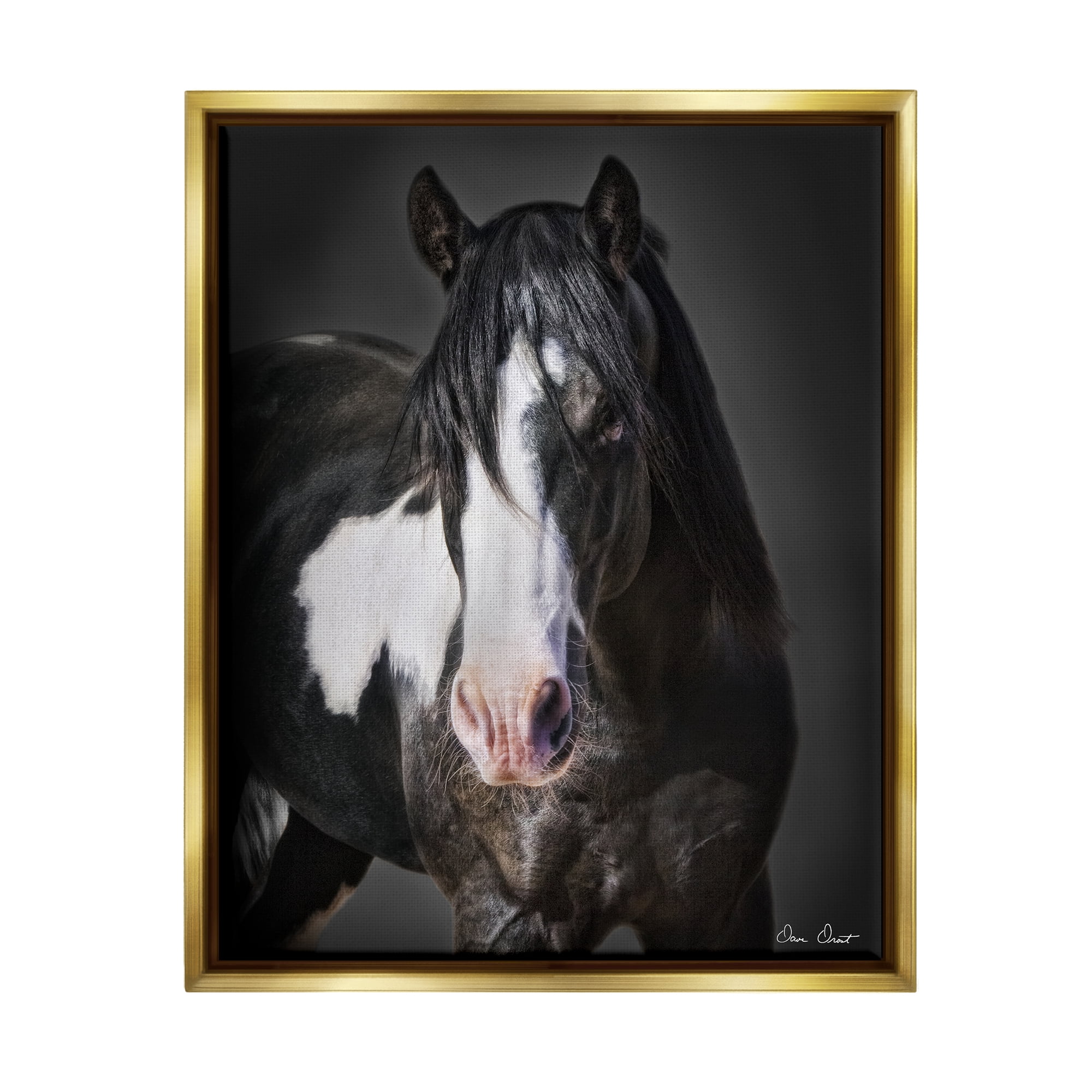 Stupell Industries Black & White Horse Animals & Insects Photography Gold Floater Framed Canvas Art Print Wall Art, 25 x 31
