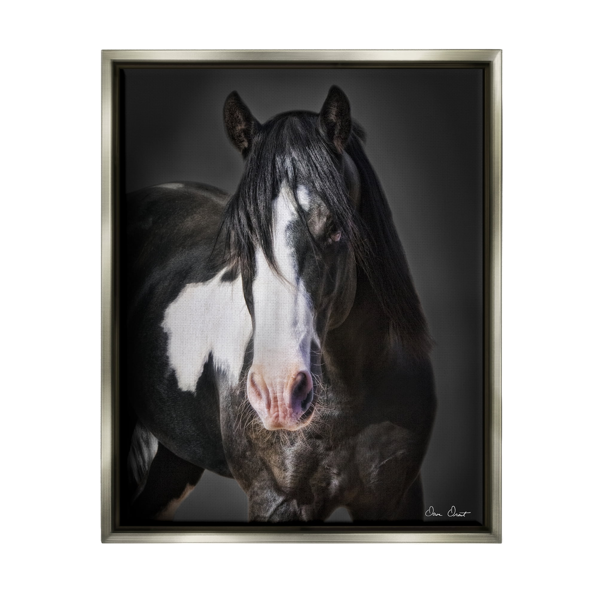 Stupell Industries Black & White Horse Animals & Insects Photography Gray Floater Framed Canvas Art Print Wall Art, 25 x 31