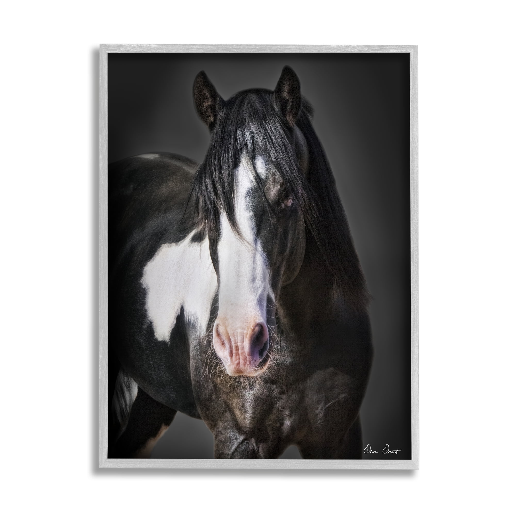 Stupell Industries Black & White Horse Animals & Insects Photography Gray Framed Art Print Wall Art, 24 x 30