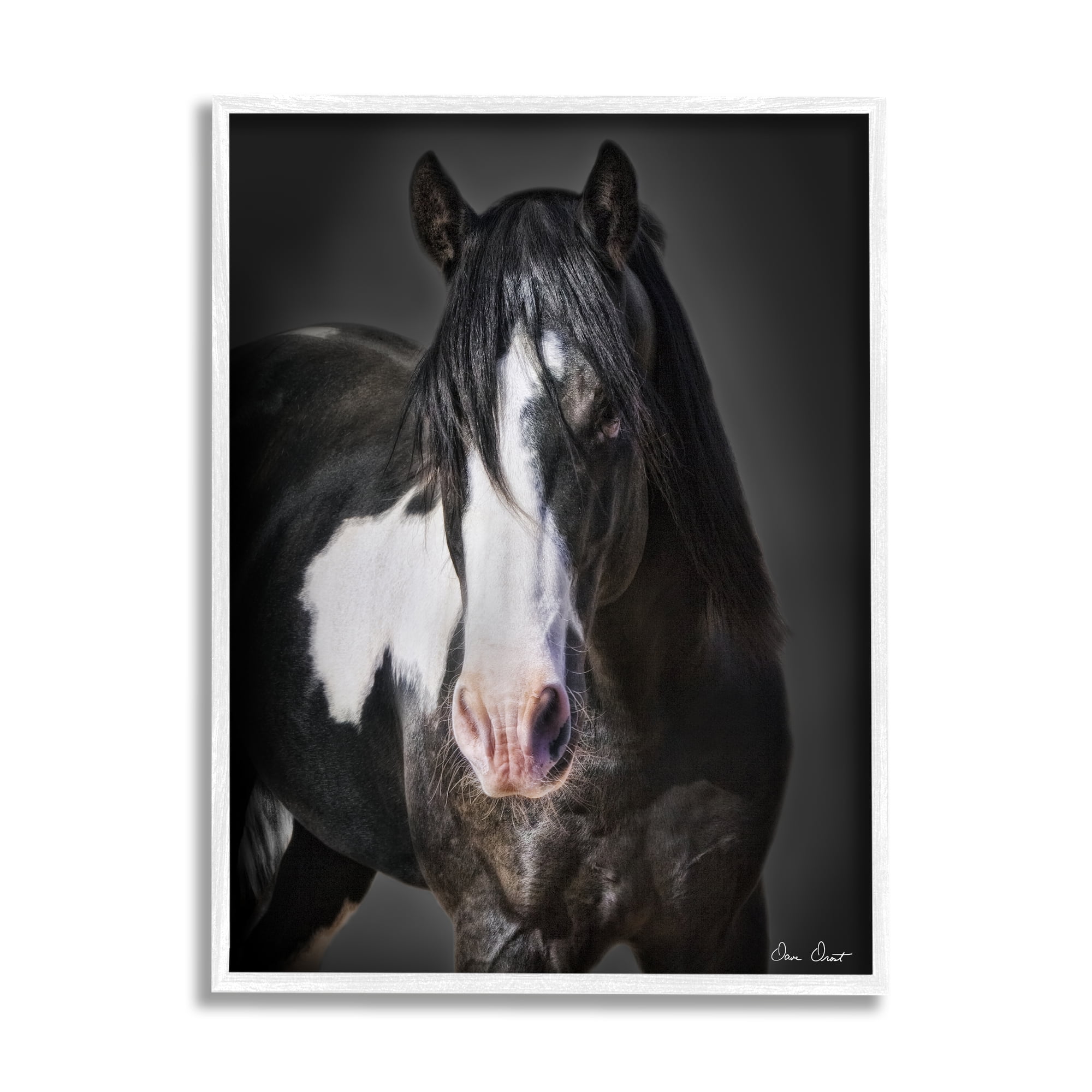 Stupell Industries Black & White Horse Animals & Insects Photography White Framed Art Print Wall Art, 24 x 30