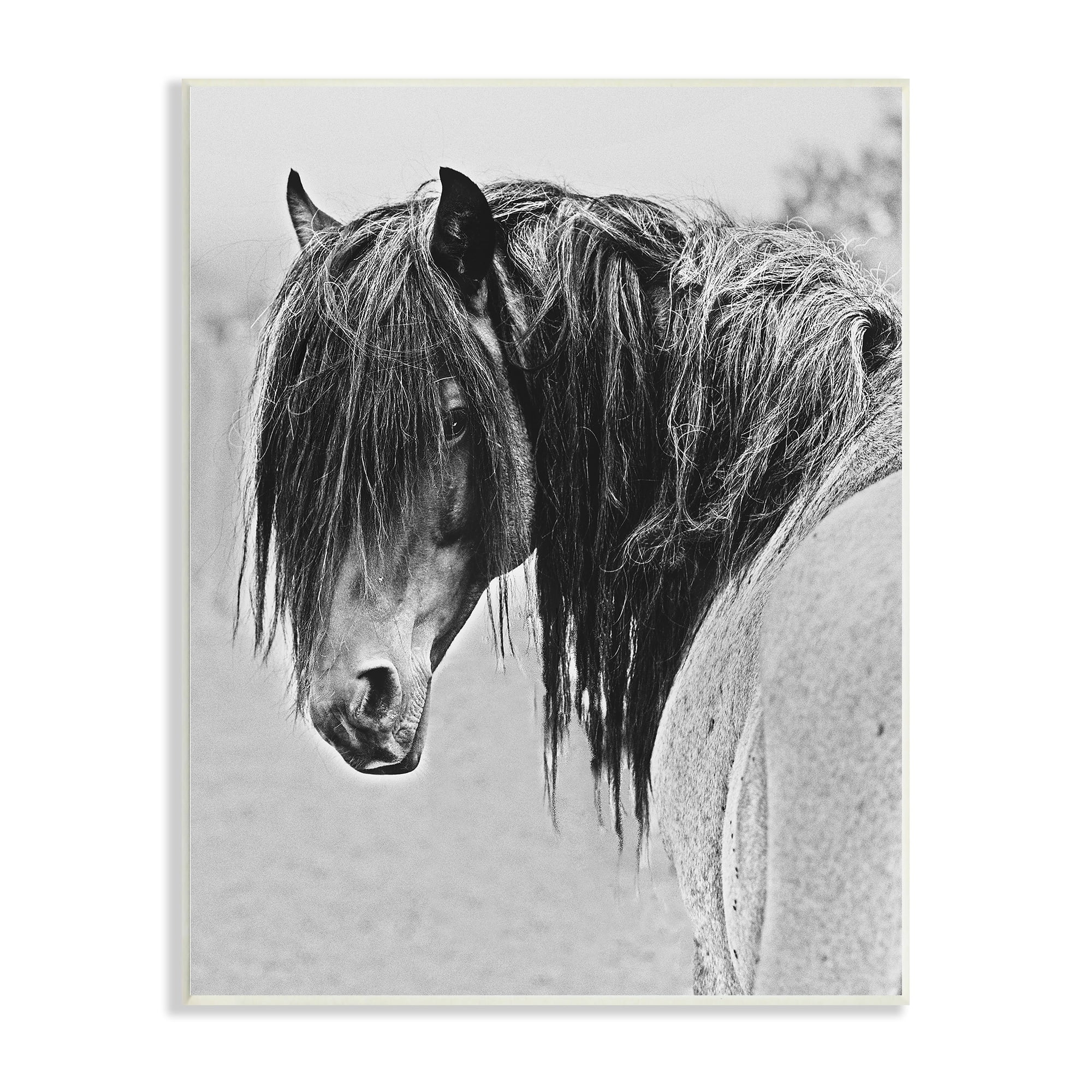 Stupell Industries Black White Monochrome Serene Fjord Horse Portrait , 10 x 15, Design by Sally Linden