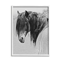 Stupell Industries Black White Monochrome Serene Fjord Horse Portrait , 16 x 20, Design by Sally Linden