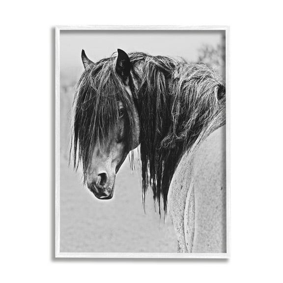 Stupell Industries Black White Monochrome Serene Fjord Horse Portrait , 16 x 20, Design by Sally Linden