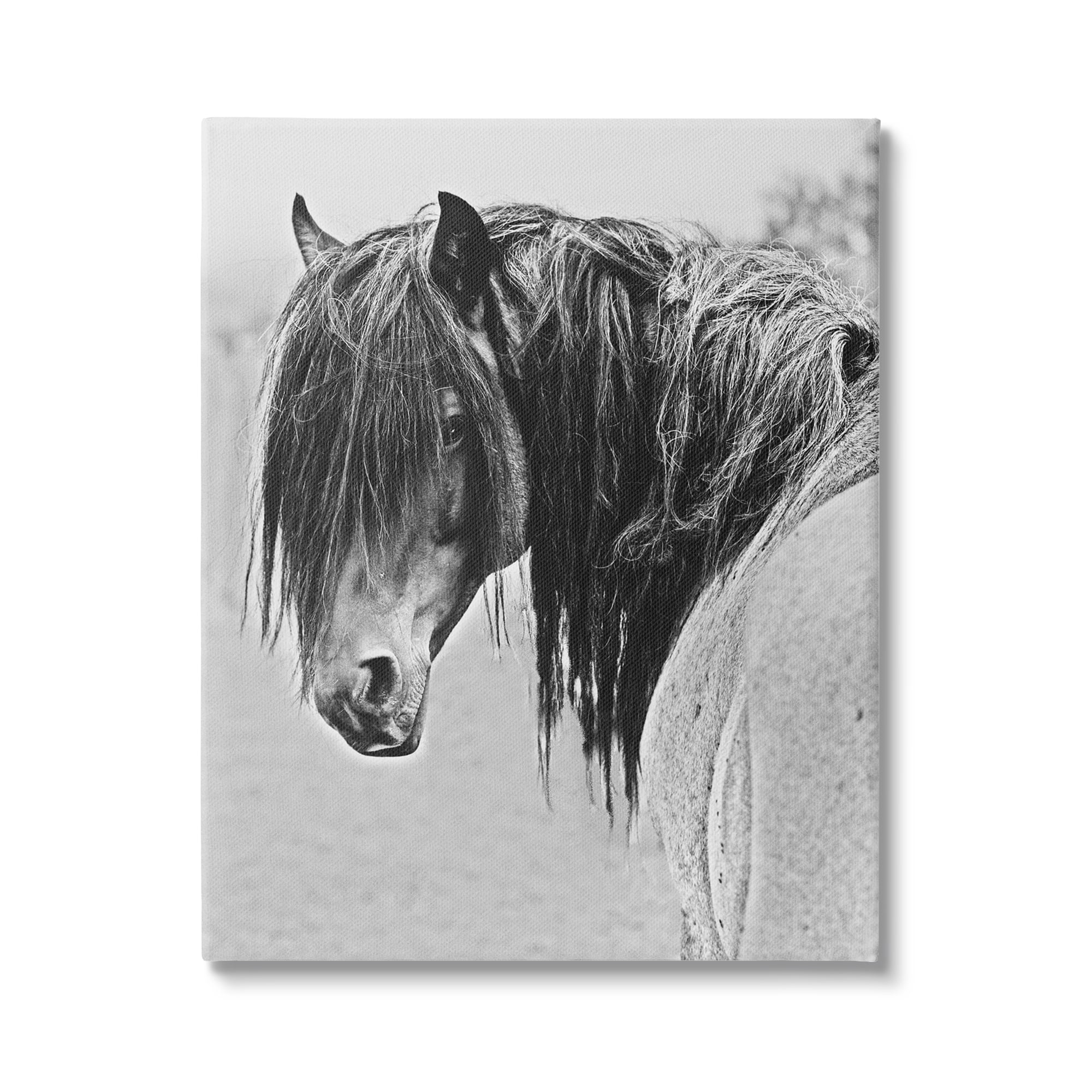 Stupell Industries Black White Monochrome Serene Fjord Horse Portrait Farmhouse Photography Gallery-Wrapped Canvas Print Wall Art, 36 x 48, Design by Sally Linden