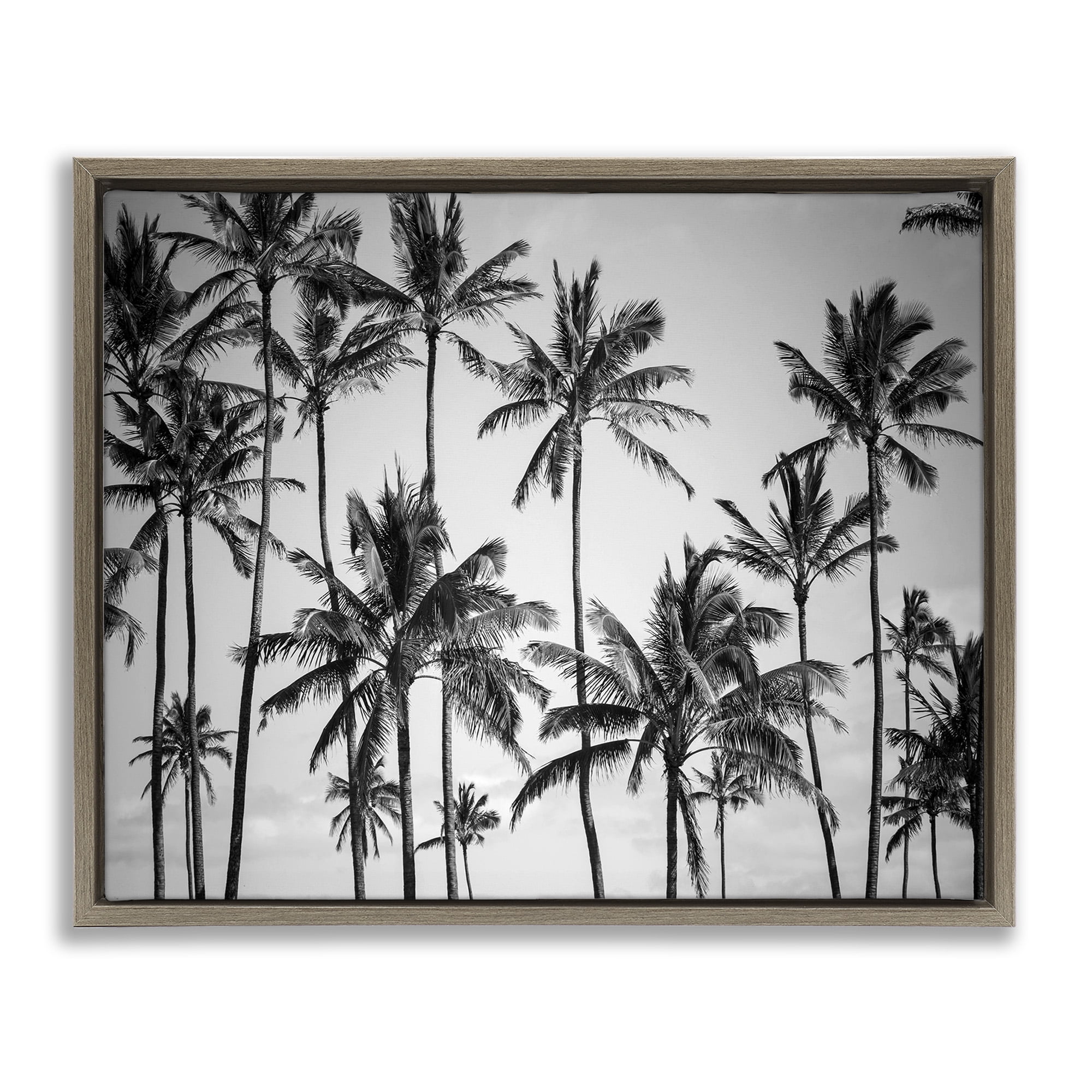 Stupell Industries Black & White Palm Trees Skyline Botanical & Floral Photography Brown Floater Framed Canvas Art Print Wall Art, 31 x 25