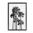 thumbnail image 1 of Stupell Industries Coastal Black & White Palm Tropics Black Floating Frame Canvas Art, 21 x 31, by Natalie Carpentieri, 1 of 7