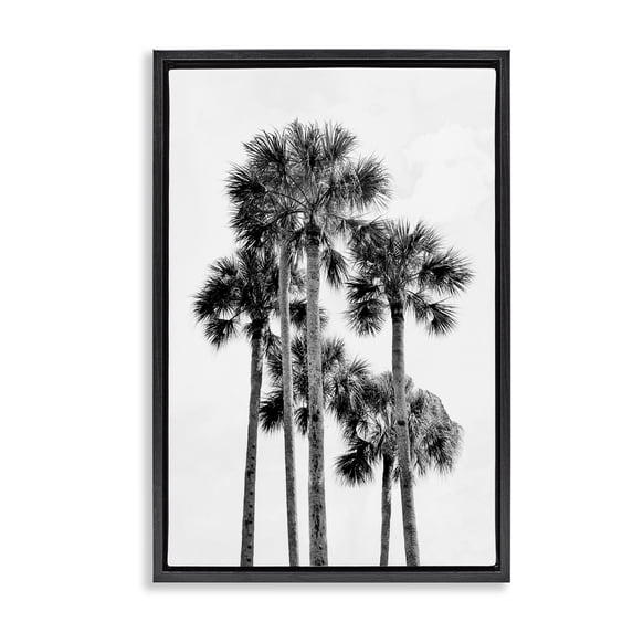 Stupell Industries Coastal Black & White Palm Tropics Black Floating Frame Canvas Art, 21 x 31, by Natalie Carpentieri