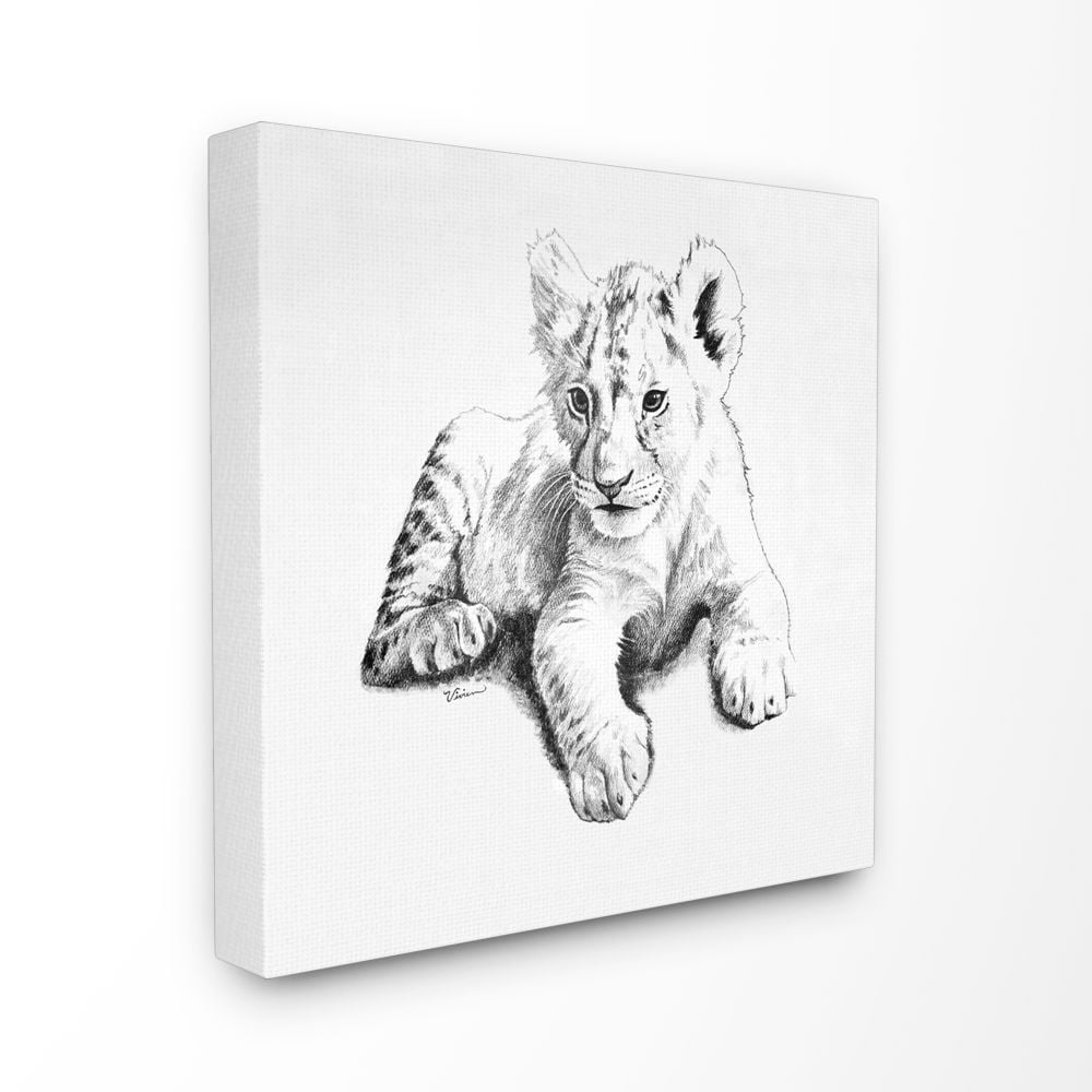 Stupell Industries Black and White Baby Lion Large Cat Animal Design Canvas Wall Art by Vivian Rhyan