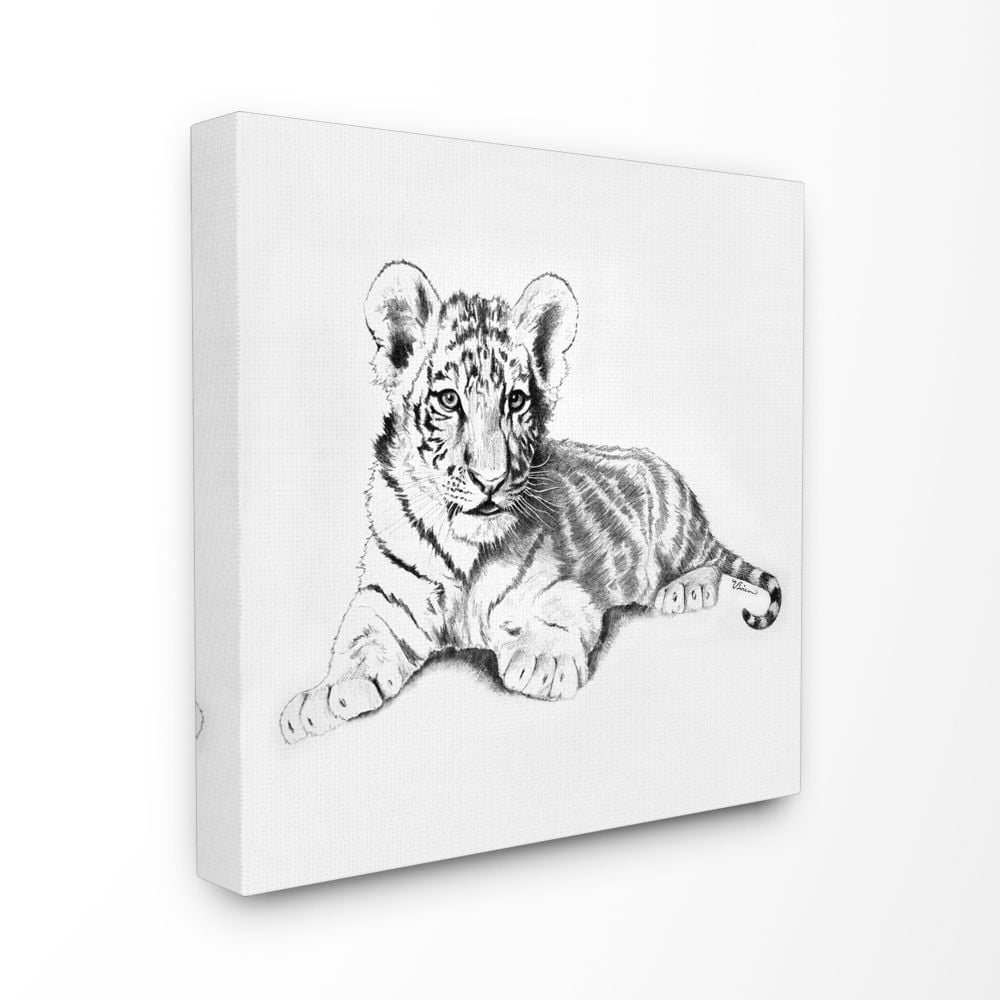 Stupell Industries Black and White Baby Tiger Large Cat Animal Design XL Canvas Wall Art by Vivian Rhyan