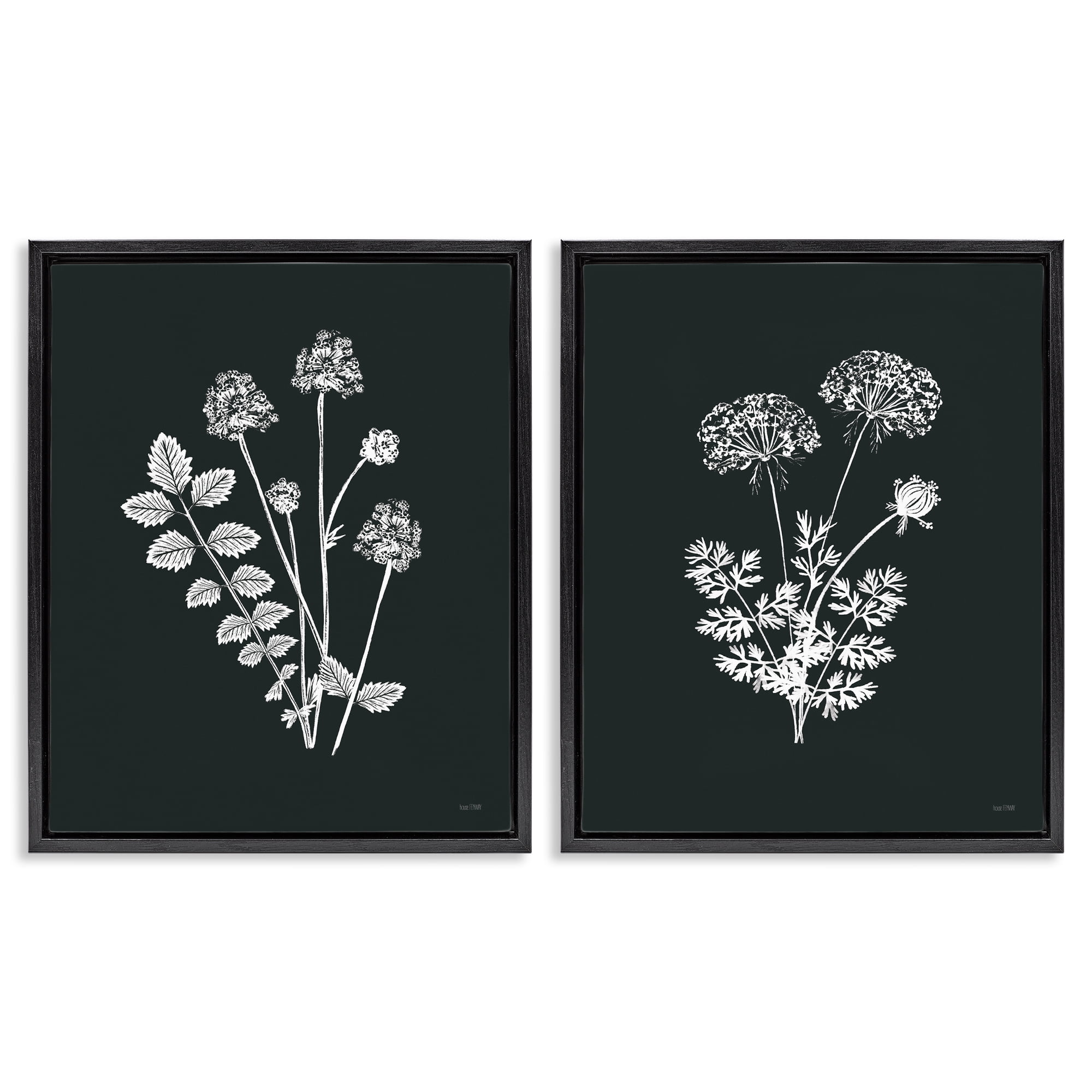 Stupell Industries Black and White Flower Cluster Plants & Flowers Painting Black Floater Framed Canvas Art Print Wall Art, 31 x 25, Set of 2