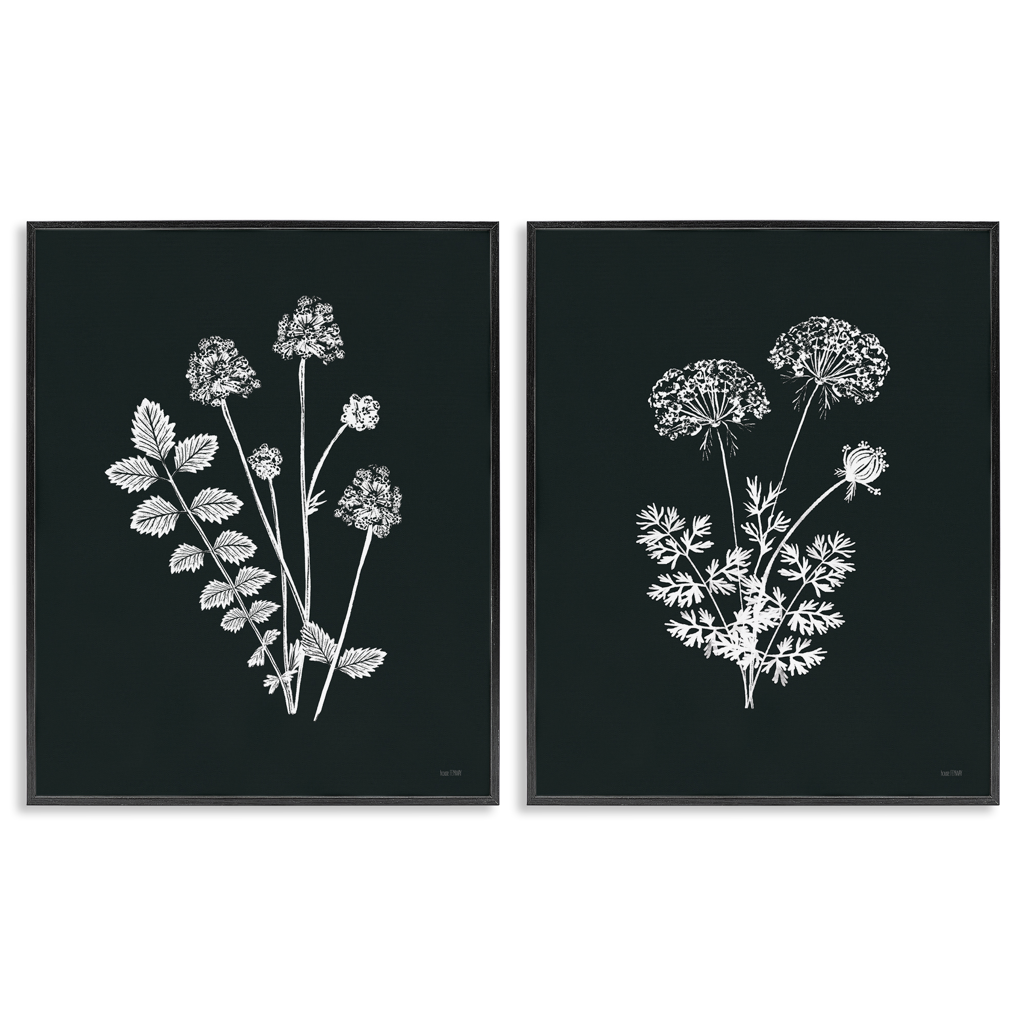 Stupell Industries Black and White Flower Cluster Plants & Flowers Painting Black Framed Art Print Wall Art, 24 x 30, Set of 2