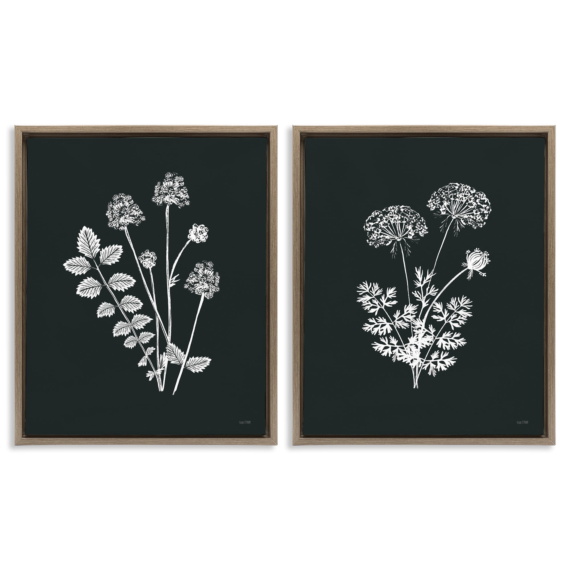 Stupell Industries Black and White Flower Cluster Plants & Flowers Painting Brown Floater Framed Canvas Art Print Wall Art, 31 x 25, Set of 2