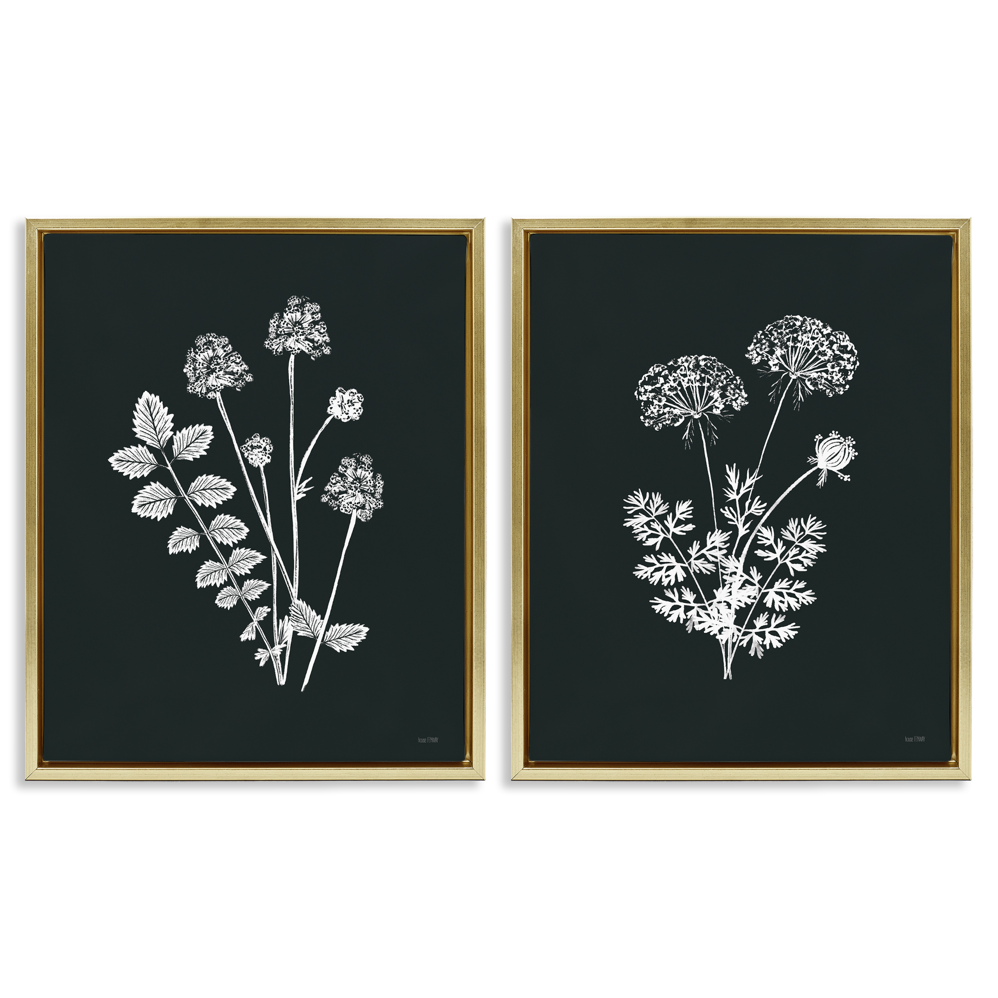 Stupell Industries Black and White Flower Cluster Plants & Flowers Painting Gold Floater Framed Canvas Art Print Wall Art, 31 x 25, Set of 2