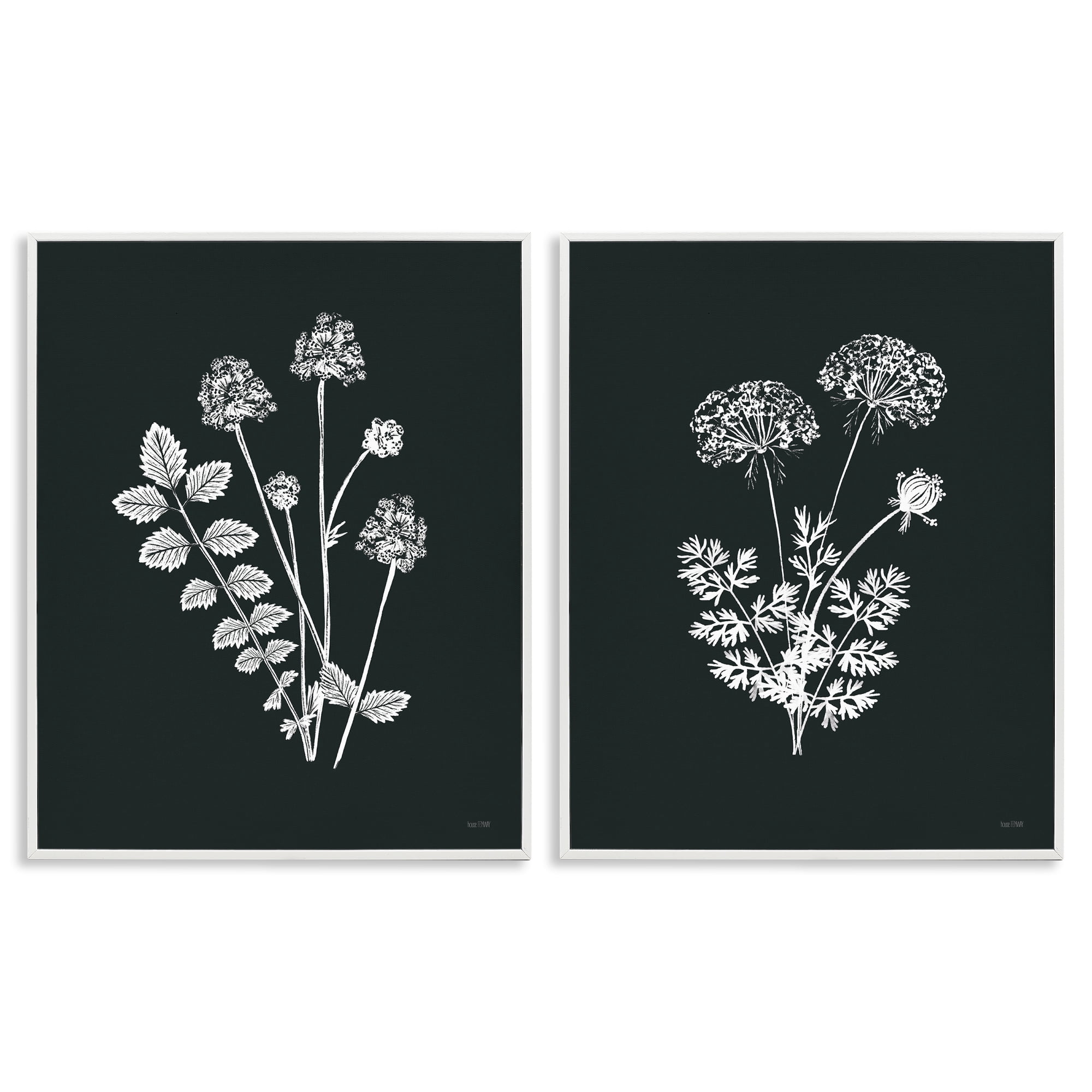 Stupell Industries Black and White Flower Cluster Plants & Flowers Painting White Framed Art Print Wall Art, 24 x 30, Set of 2