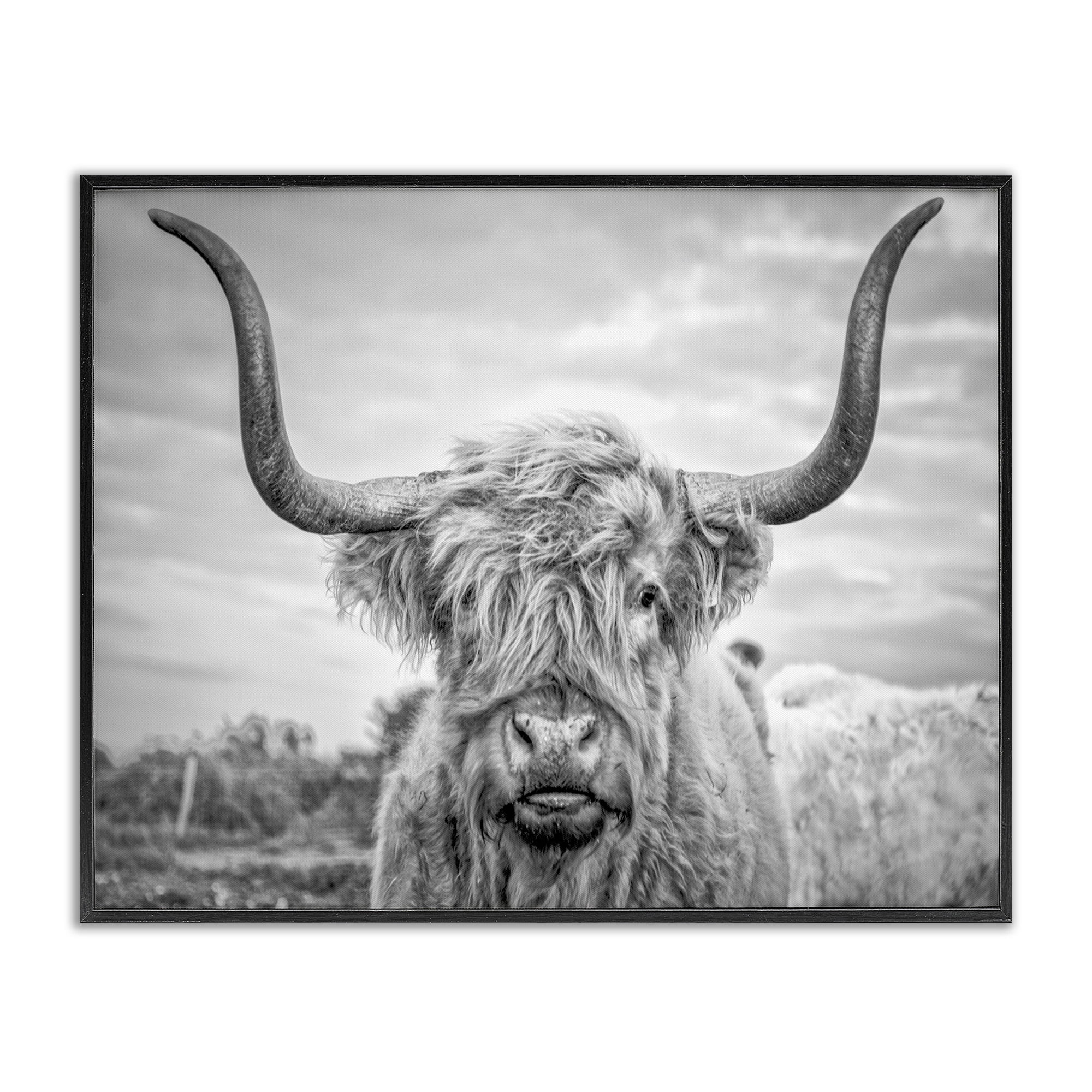 Stupell Industries Black and White Highland Cow Framed Texturized Art