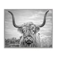 thumbnail image 1 of Stupell Industries Black and White Highland Cow Photograph Framed Wall Art by Joe Reynolds, 1 of 9