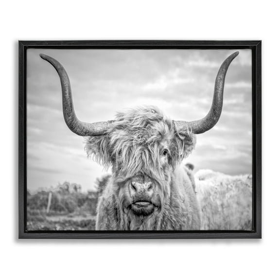 Stupell Industries Black and White Highland Cow Photograph Jet Black Framed Floating Canvas Wall Art, 16x20, by Joe Reynolds
