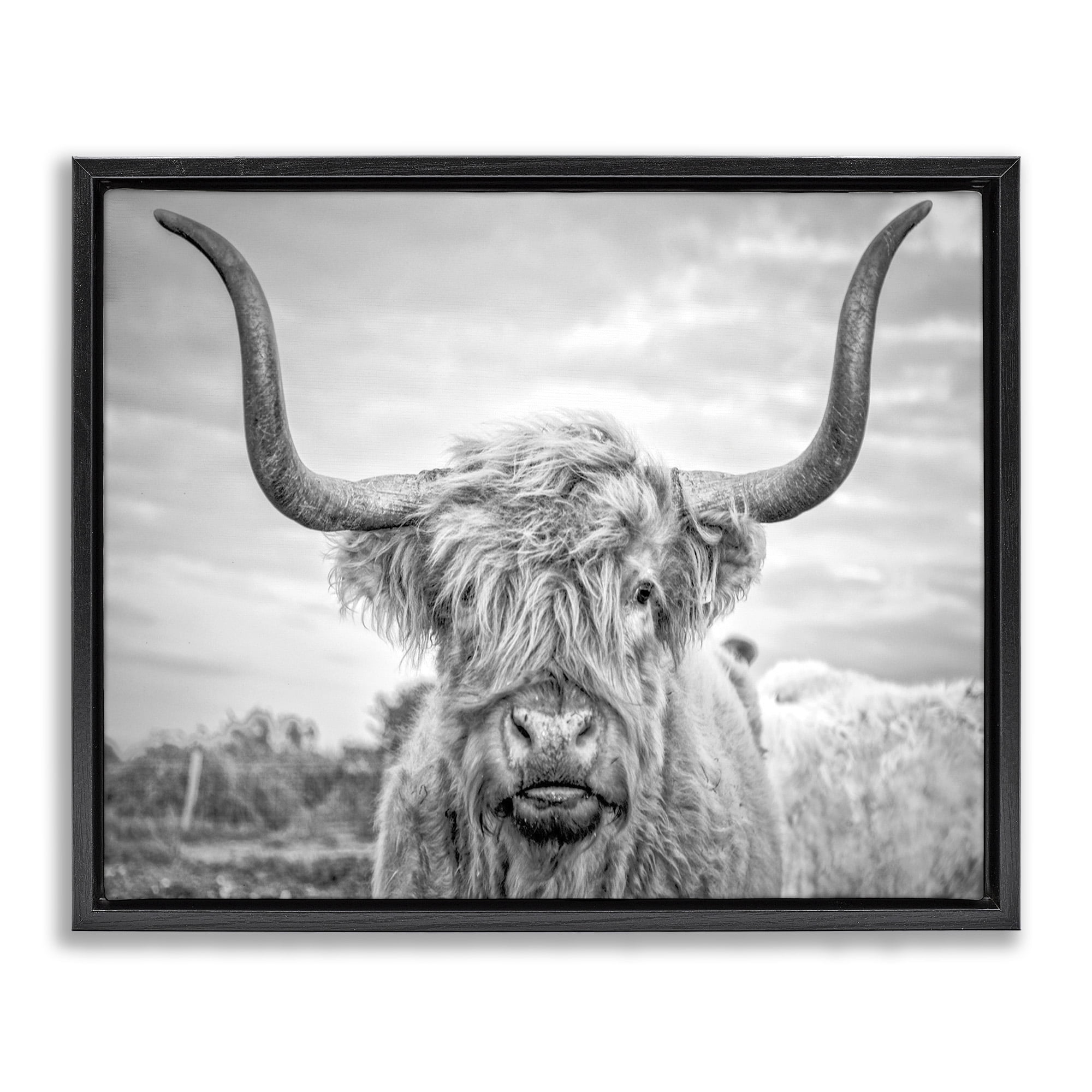 Stupell Industries Black and White Highland Cow Photograph Jet Black Framed Floating Canvas Wall Art, 24x30, by Joe Reynolds