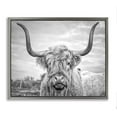 thumbnail image 1 of Stupell Industries Black and White Highland Cow Photograph Luster Gray Framed Floating Canvas Wall Art, 24x30, by Joe Reynolds, 1 of 9