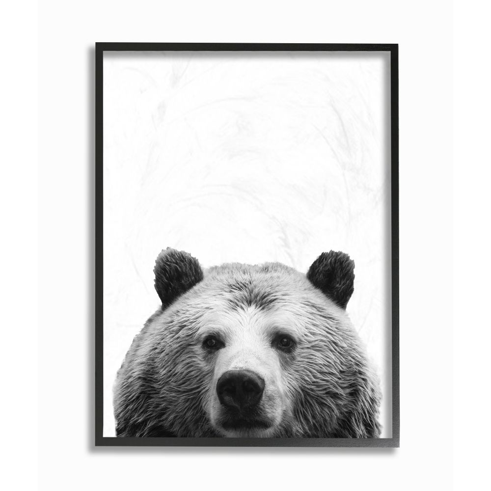 Stupell Industries Black and White Large Bear Head Animal Design Framed Giclee Texturized Art by SD Graphics Studio