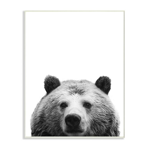 Stupell Industries Black and White Large Bear Head Animal Design Wall Plaque Art by SD Graphics Studio