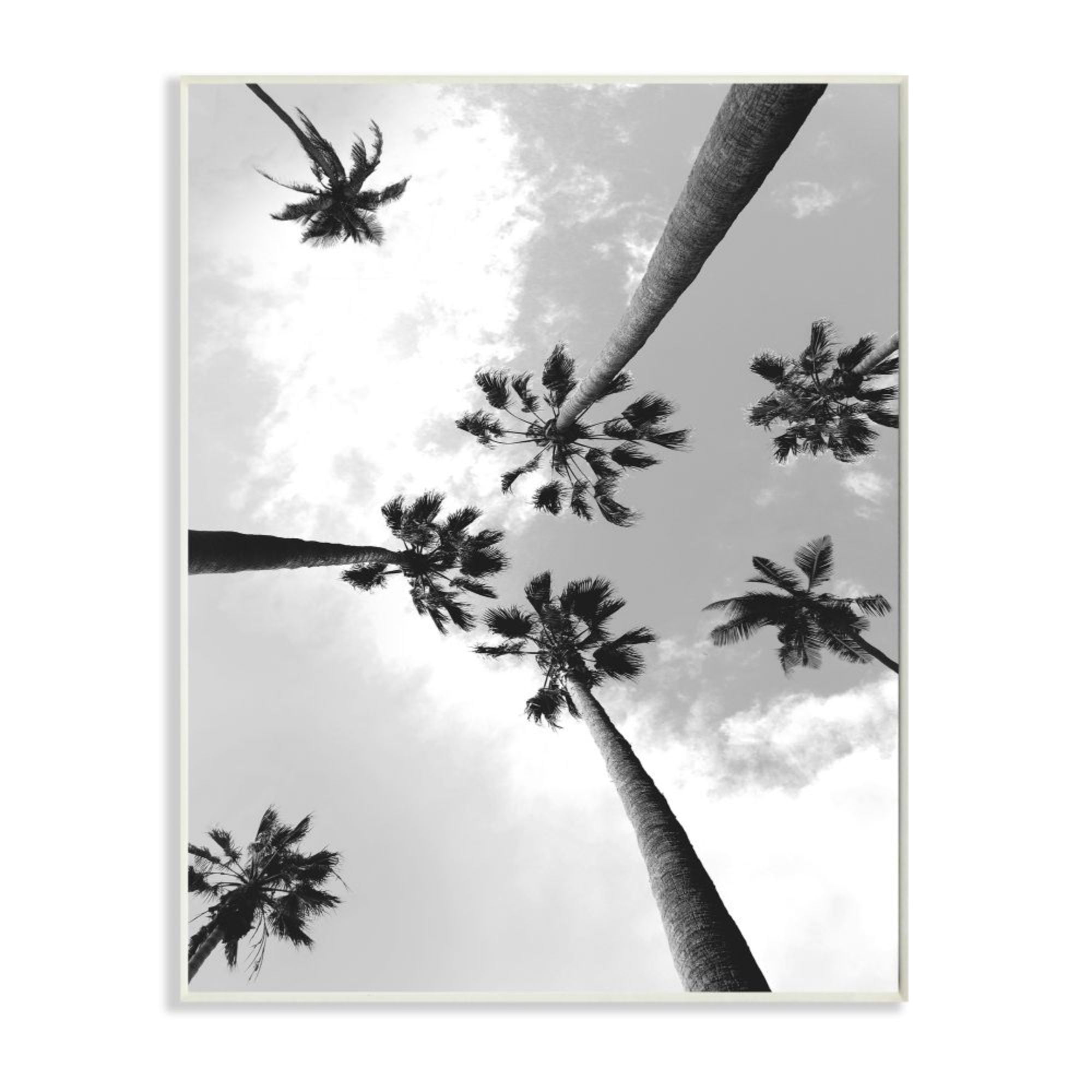Stupell Industries Black and White Sky Through Palm Trees Design by Ziwei Li