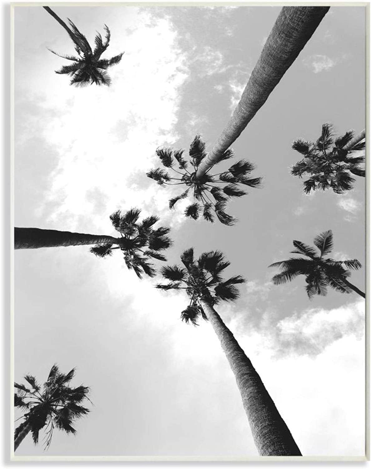 Stupell Industries Black and White Sky Through Palm Trees Design by Ziwei Li