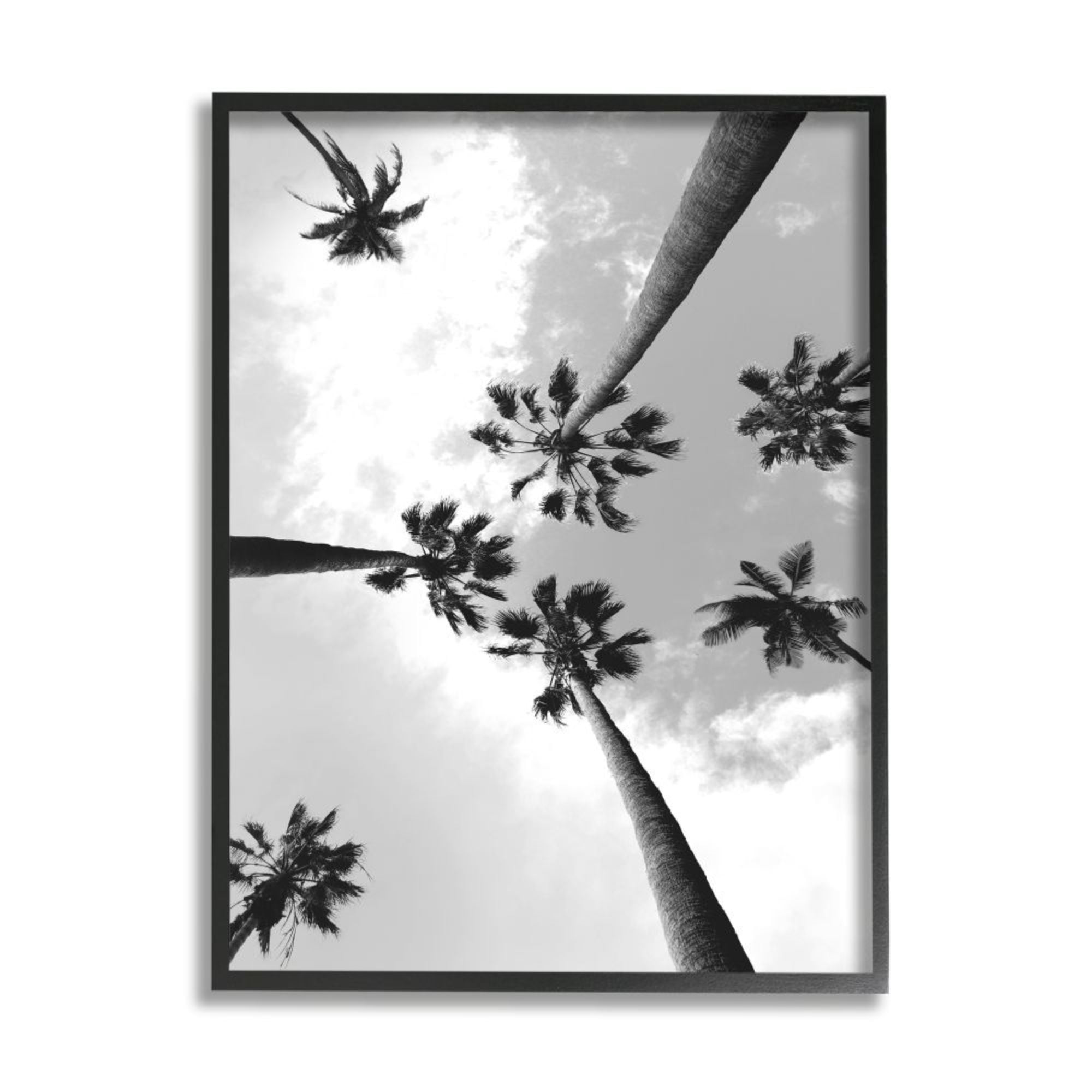 Stupell Industries Black and White Sky Through Palm Trees Design by Ziwei Li