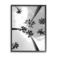 thumbnail image 1 of Stupell Industries Black and White Sky Through Palm Trees Design by Ziwei Li, 1 of 8