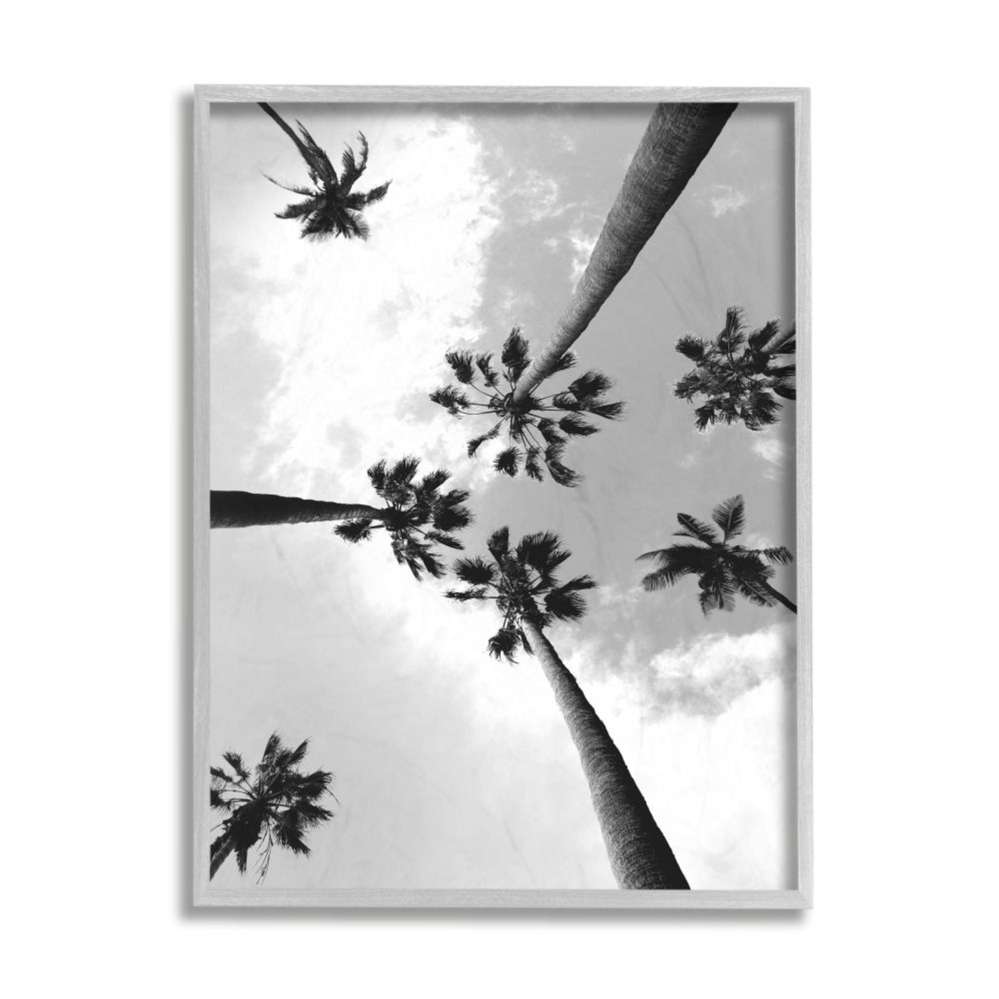 Stupell Industries Black and White Sky Through Palm Trees Design by Ziwei Li