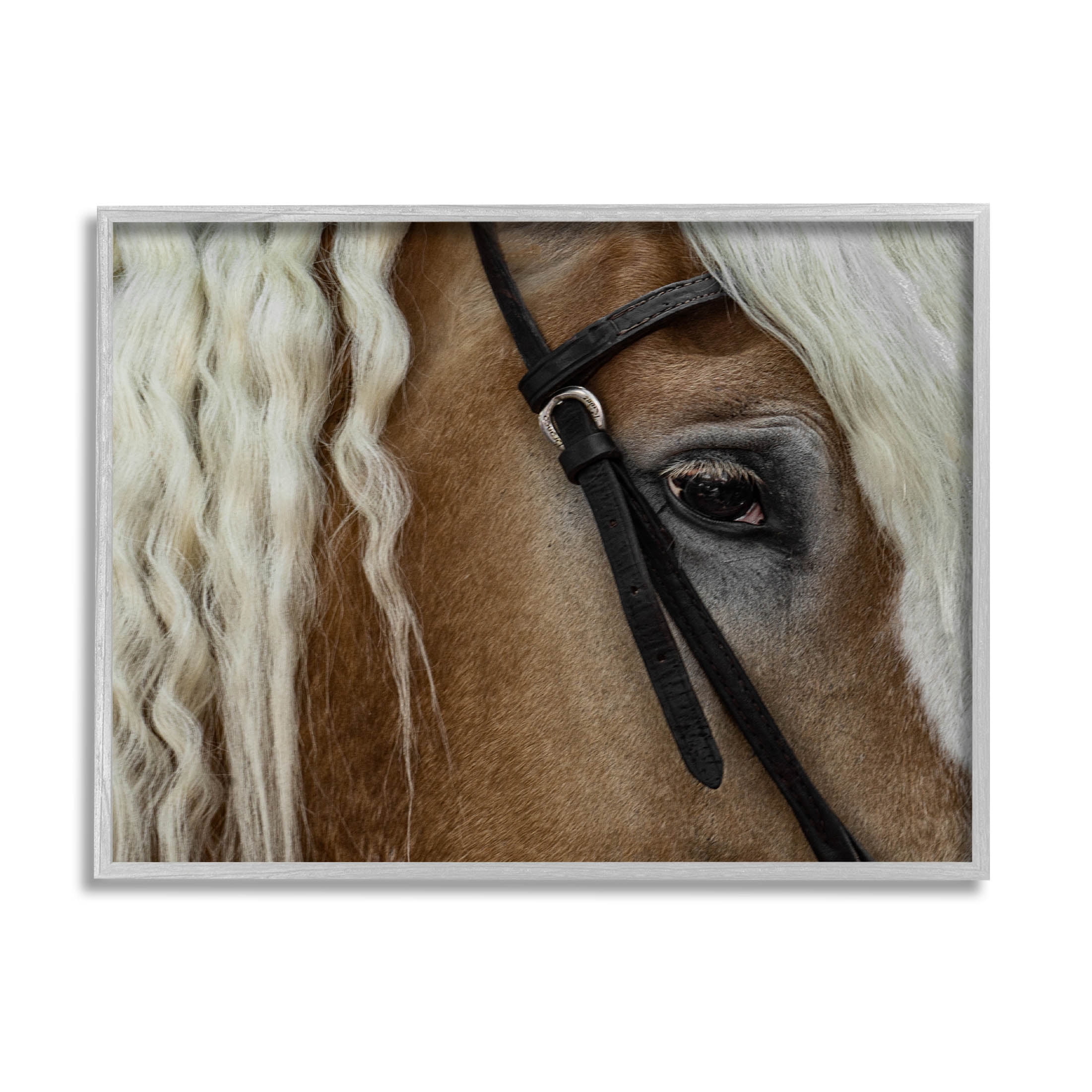 Stupell Industries Blonde Palomino Horse Portrait Photograph Gray Framed Art Print Wall Art, Design by David Lorenz