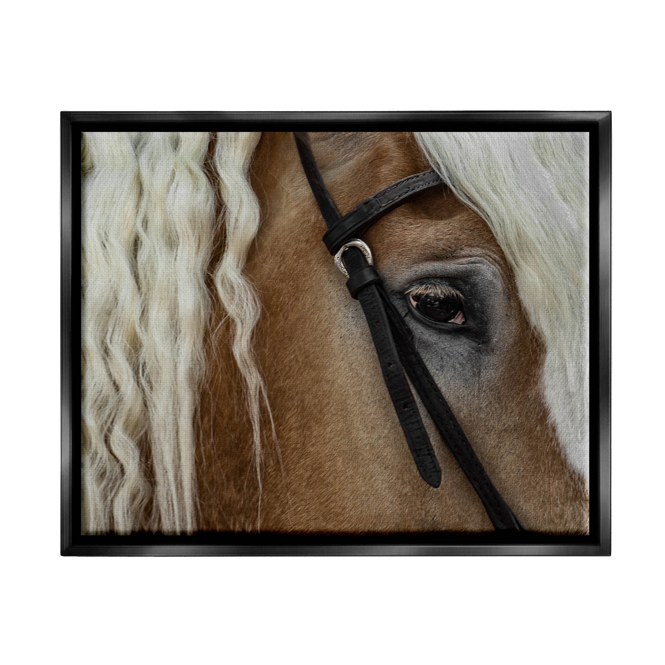 Stupell Industries Blonde Palomino Horse Portrait Photograph Jet Black Floating Framed Canvas Print Wall Art, Design by David Lorenz