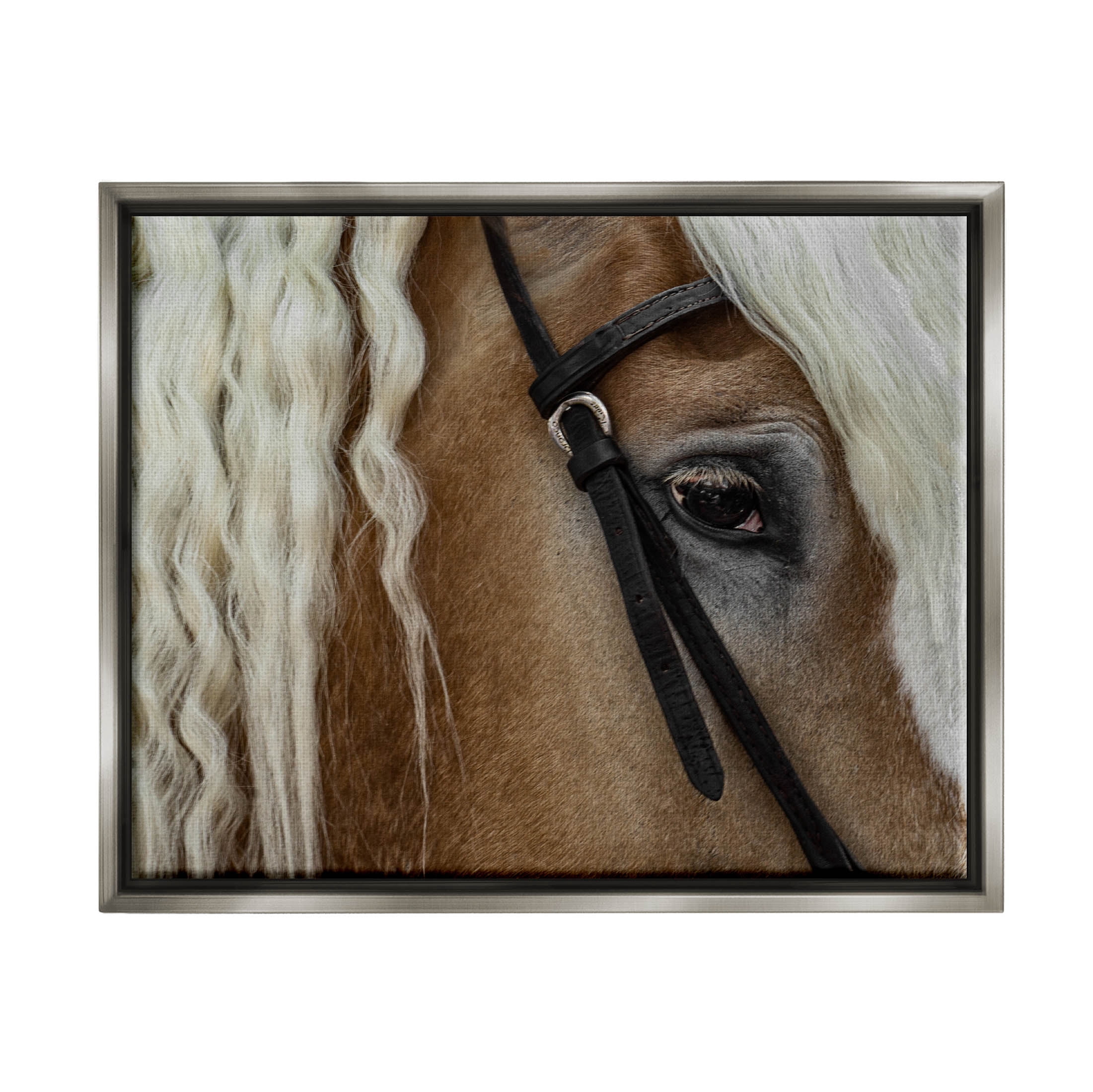 Stupell Industries Blonde Palomino Horse Portrait Photograph Luster Gray Floating Framed Canvas Print Wall Art, Design by David Lorenz