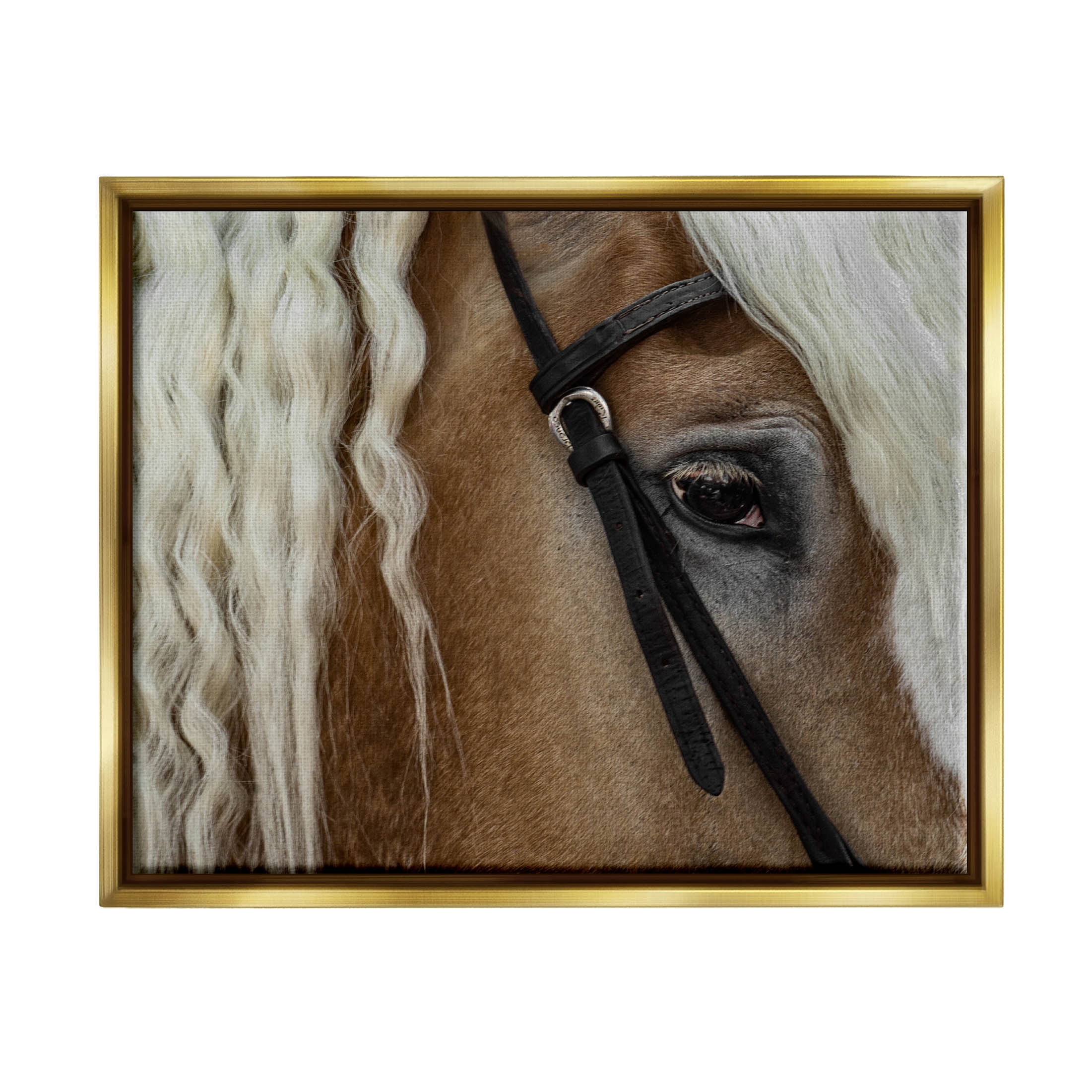 Stupell Industries Blonde Palomino Horse Portrait Photograph Metallic Gold Floating Framed Canvas Print Wall Art, Design by David Lorenz