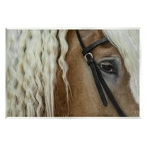 Stupell Industries Blonde Palomino Horse Portrait Photograph Unframed Art Print Wall Art, Design by David Lorenz