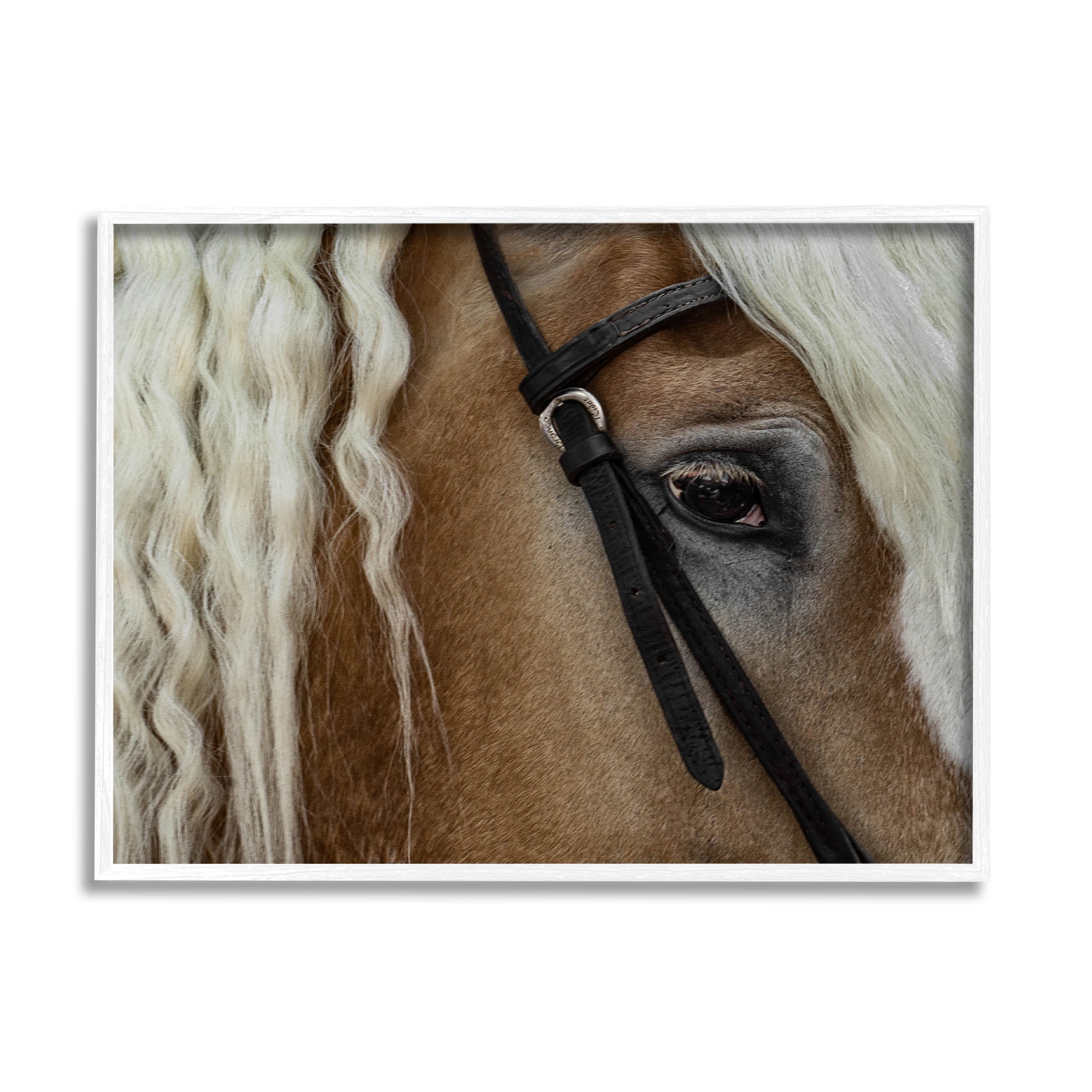 Stupell Industries Blonde Palomino Horse Portrait Photograph White Framed Art Print Wall Art, Design by David Lorenz