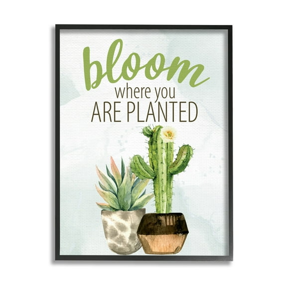 Stupell Industries Bloom Where You Are Planted Cactus Succulent Graphic Art Black Framed Art Print Wall Art, Design by Kim Allen