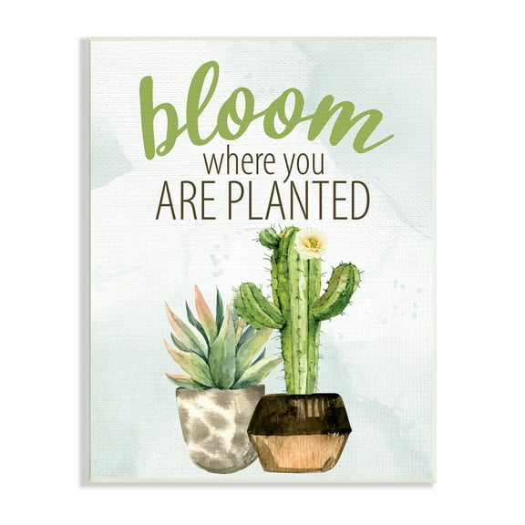 Stupell Industries Bloom Where You Are Planted Cactus Succulent Graphic Art Unframed Art Print Wall Art, Design by Kim Allen