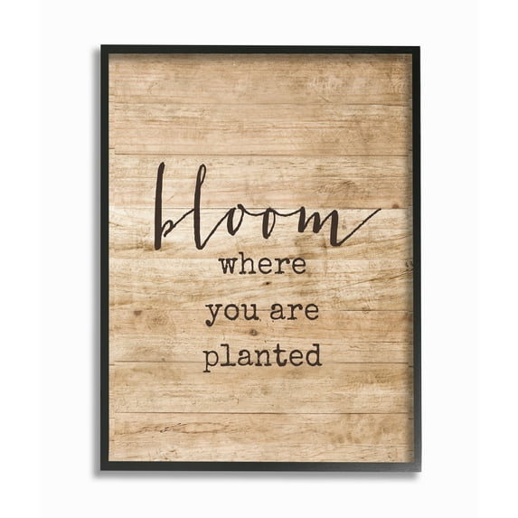 Stupell Industries Bloom Where You're Planted Graphic Art Black Framed Art Print Wall Art, 11x14, by Lettered and Lined