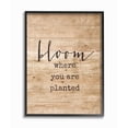 thumbnail image 1 of Stupell Industries Bloom Where You're Planted Graphic Art Black Framed Art Print Wall Art, 16x20, by Lettered and Lined, 1 of 2