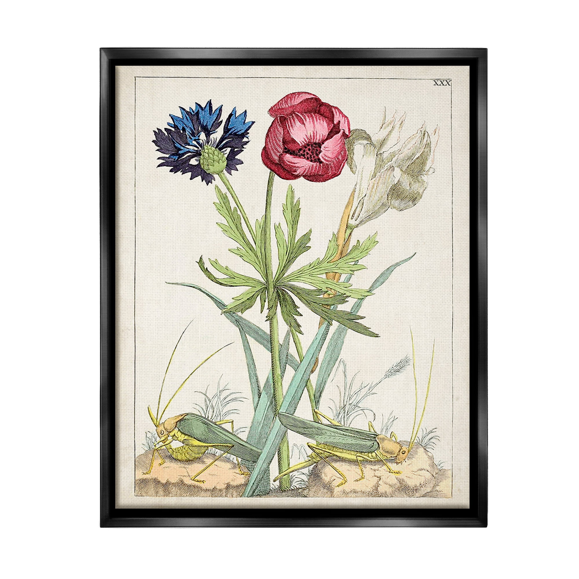 Stupell Industries Blooming Bulbs & Grasshoppers Botanical & Floral Painting Black Floater Framed Canvas Art Print Wall Art, 17 x 21