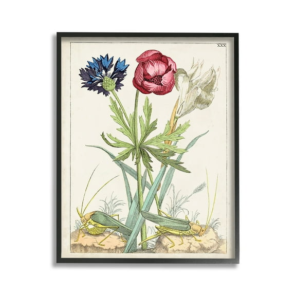 Stupell Industries Blooming Bulbs & Grasshoppers Botanical & Floral Painting Black Framed Art Print Wall Art, 11 x 14