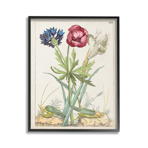 Stupell Industries Blooming Bulbs & Grasshoppers Botanical & Floral Painting Black Framed Art Print Wall Art, 16 x 20