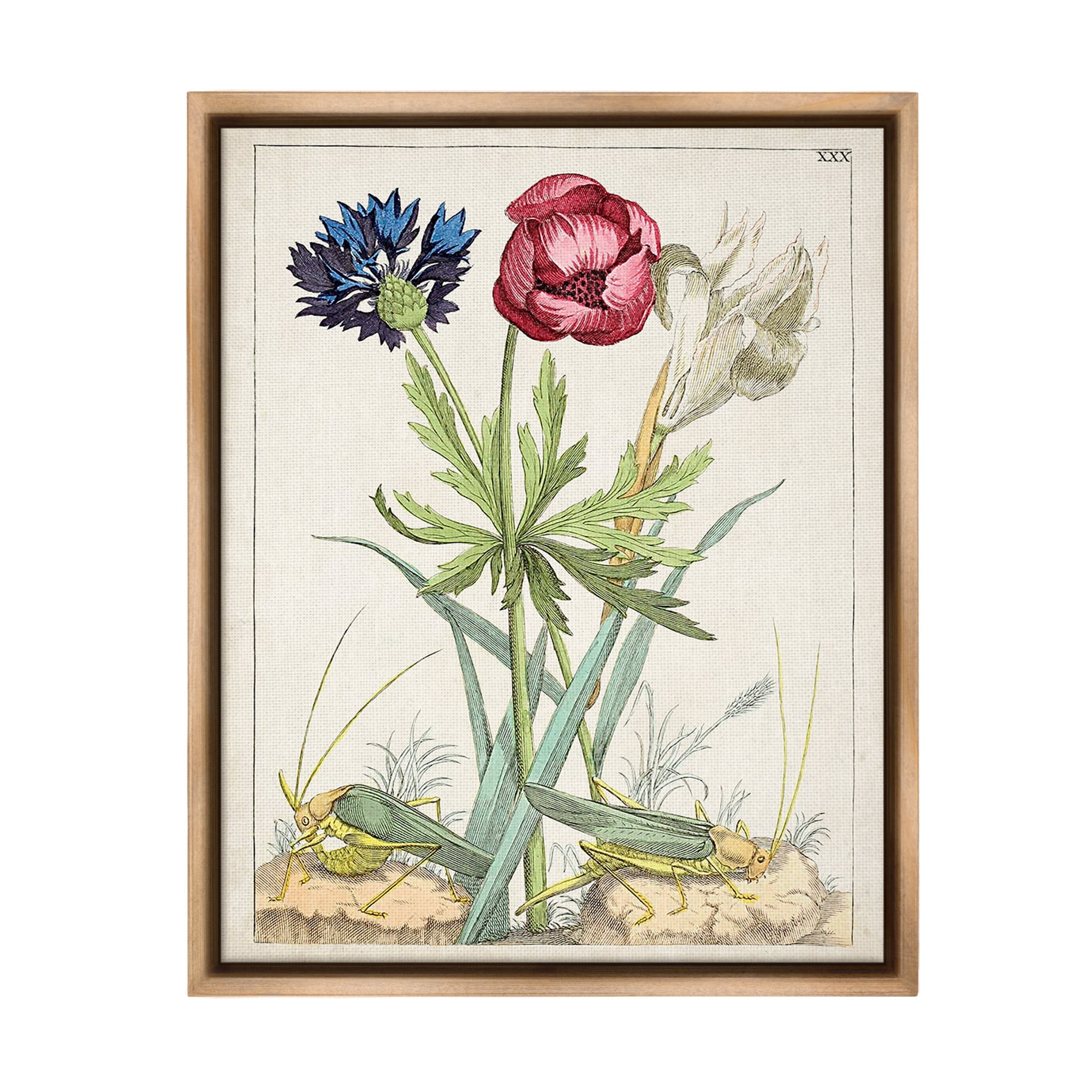 Stupell Industries Blooming Bulbs & Grasshoppers Botanical & Floral Painting Brown Floater Framed Canvas Art Print Wall Art, 17 x 21