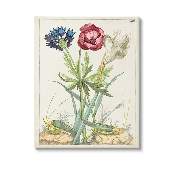 Stupell Industries Blooming Bulbs & Grasshoppers Botanical & Floral Painting Gallery Wrapped Canvas Art Print Wall Art, 16 x 20