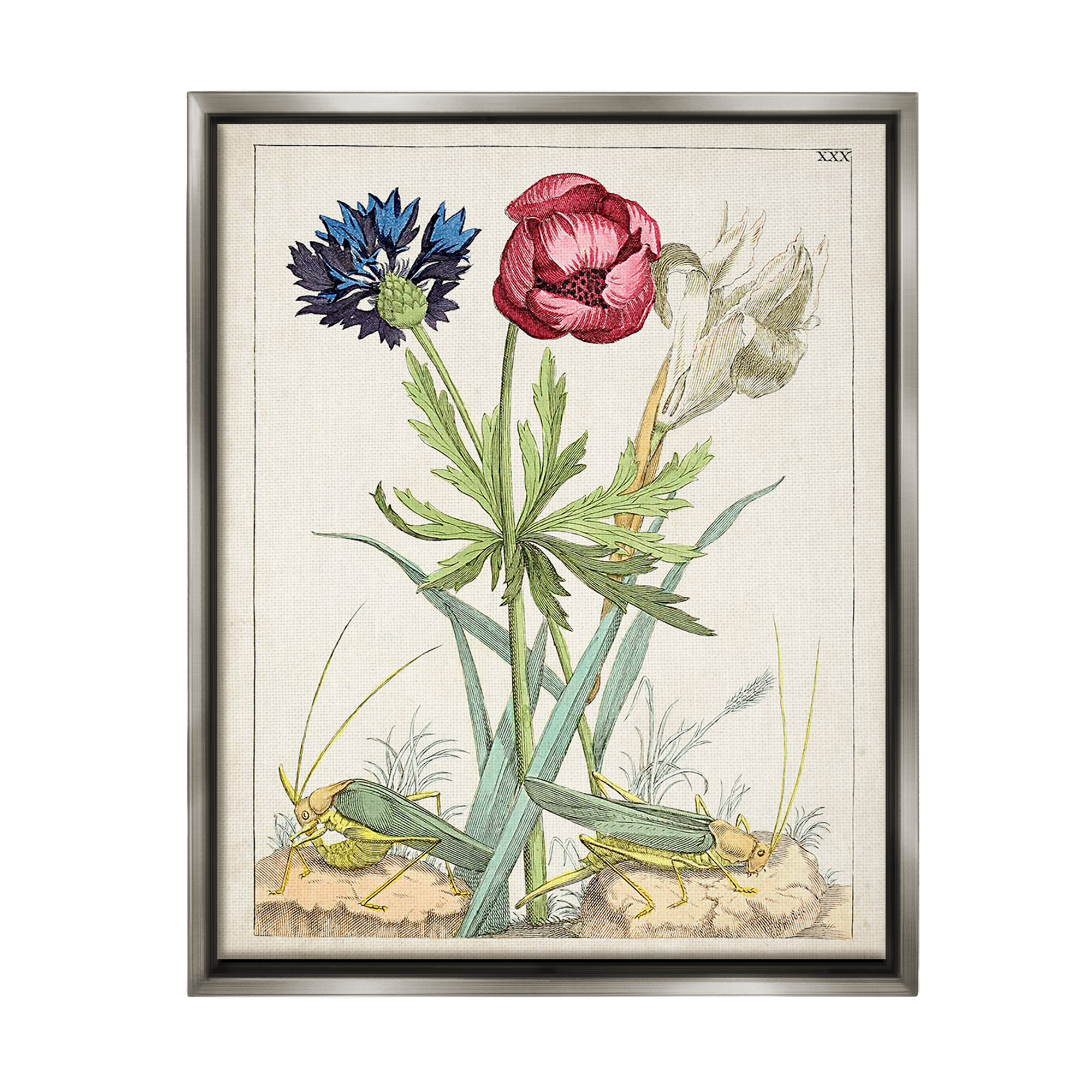 Stupell Industries Blooming Bulbs & Grasshoppers Botanical & Floral Painting Gray Floater Framed Canvas Art Print Wall Art, 17 x 21