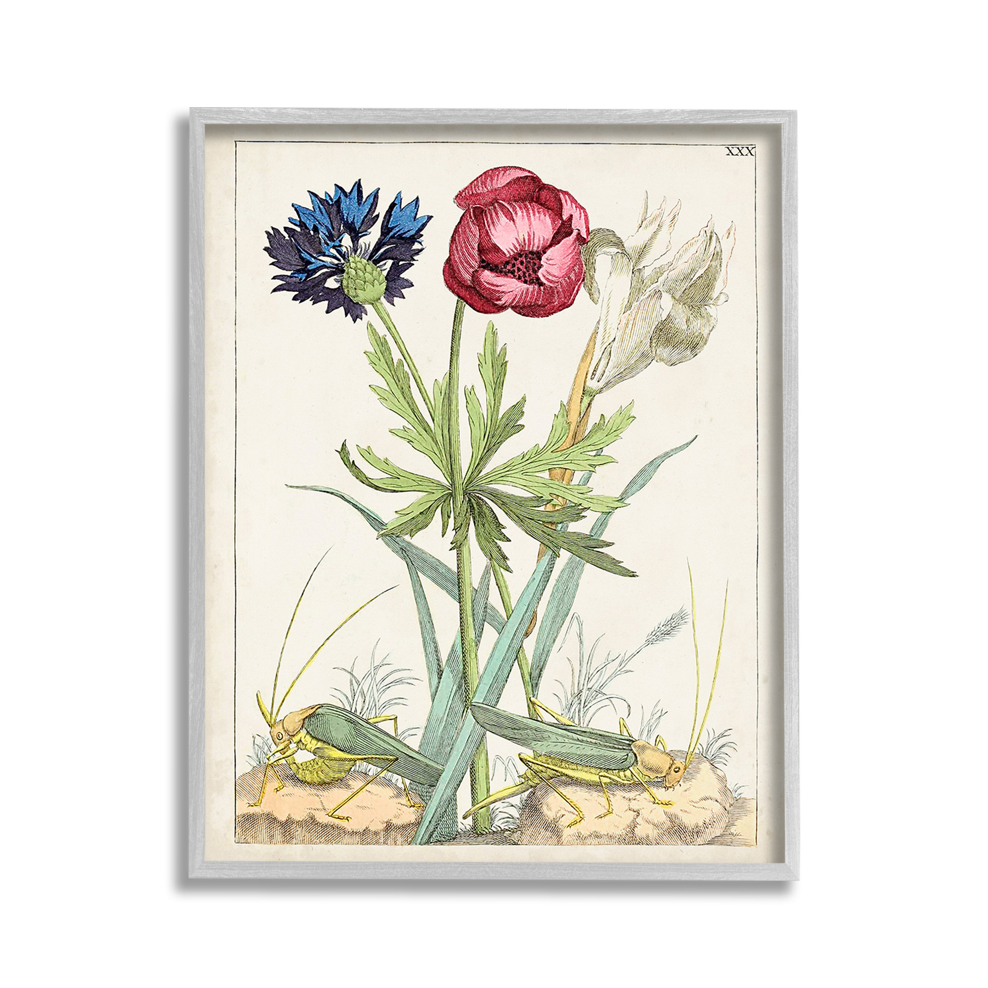 Stupell Industries Blooming Bulbs & Grasshoppers Botanical & Floral Painting Gray Framed Art Print Wall Art, 11 x 14