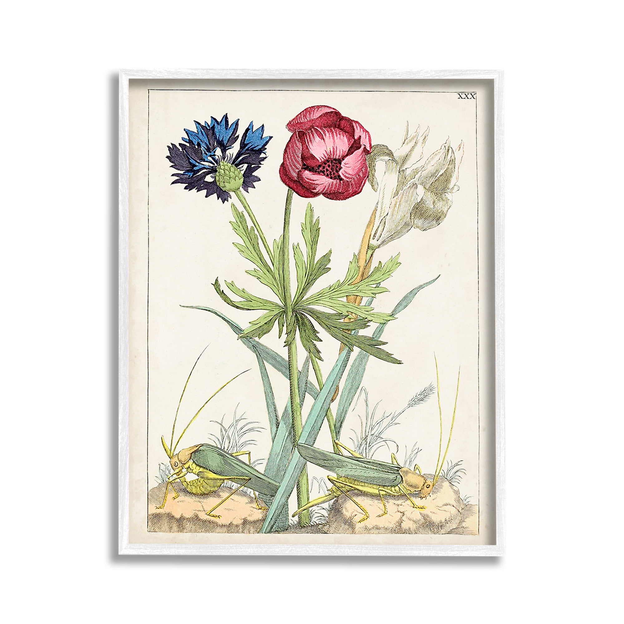 Stupell Industries Blooming Bulbs & Grasshoppers Botanical & Floral Painting White Framed Art Print Wall Art, 11 x 14
