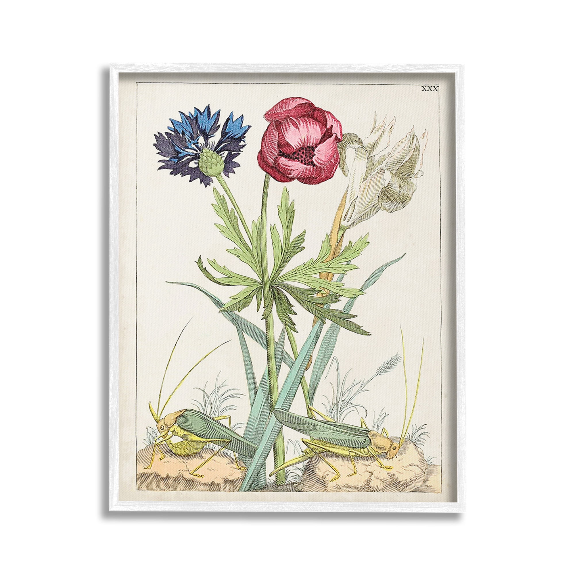 Stupell Industries Blooming Bulbs & Grasshoppers Botanical & Floral Painting White Framed Art Print Wall Art, 24 x 30